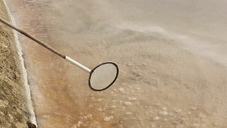 natural sea salt being collected with a scoop in thailand