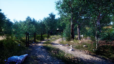 forest path on a sunny day