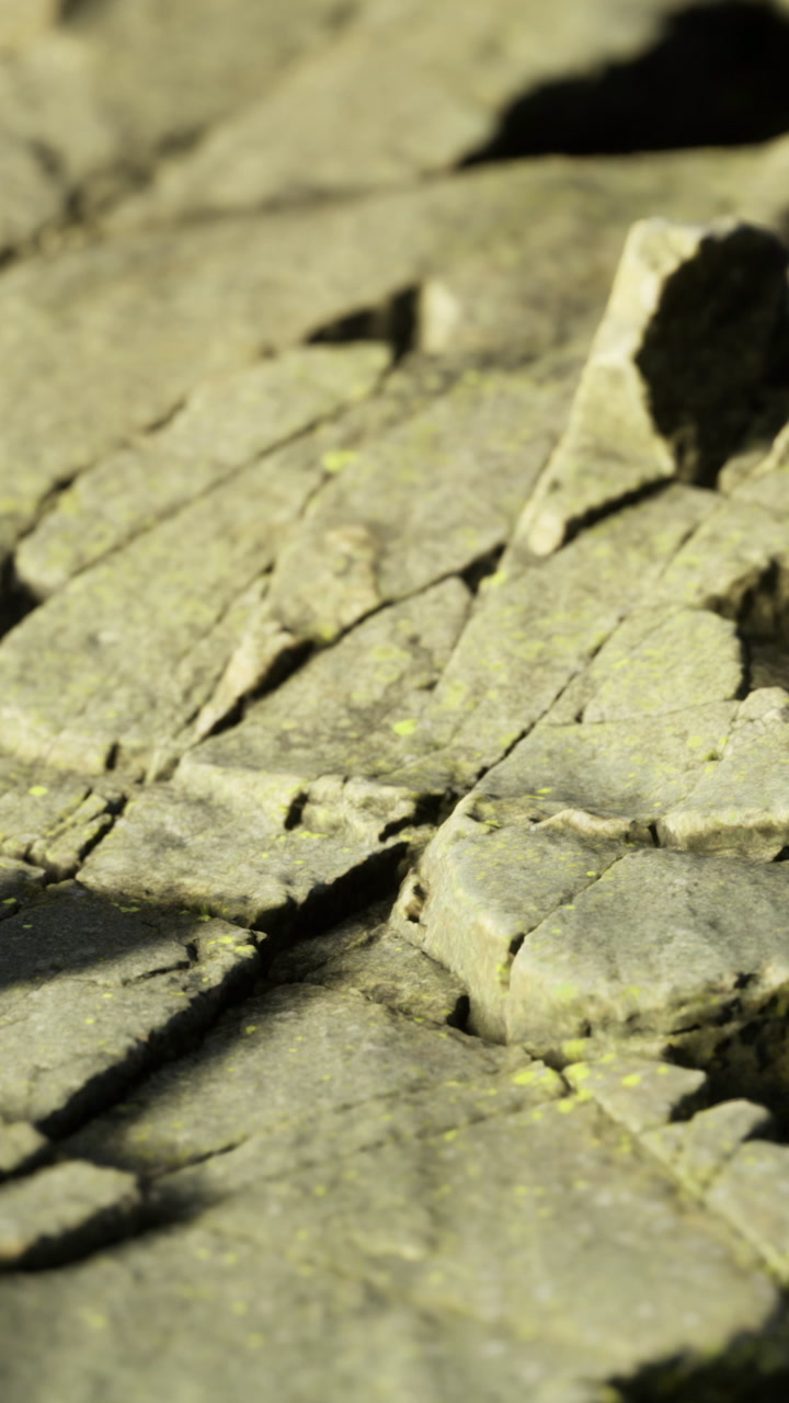 Natures ancient canvas reveals textures of weathered stone under sunlight