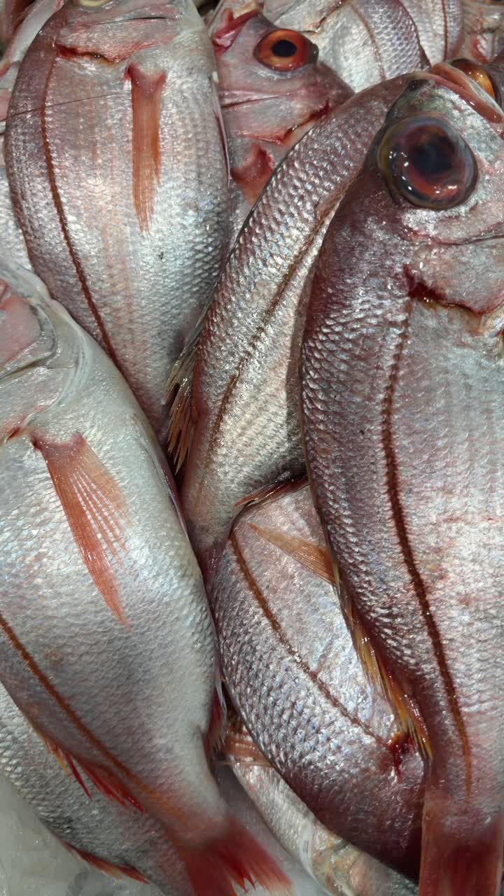 Pargo rojo fresco expuesto en hielo