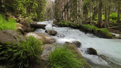 Gebirgsfluss-Im-Wald-In-Zeitlupe.-Wunderschöne-Tierlandschaft.