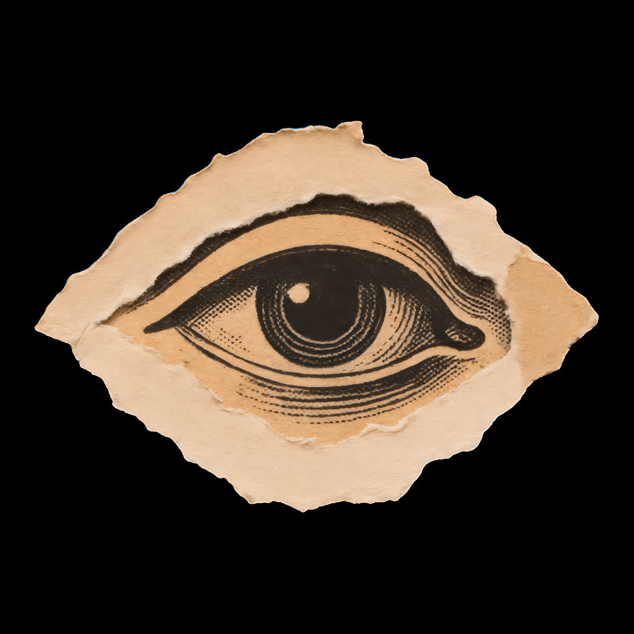 Vintage eye illustration collage animation isolated asset, transparent 4K video, alpha channel