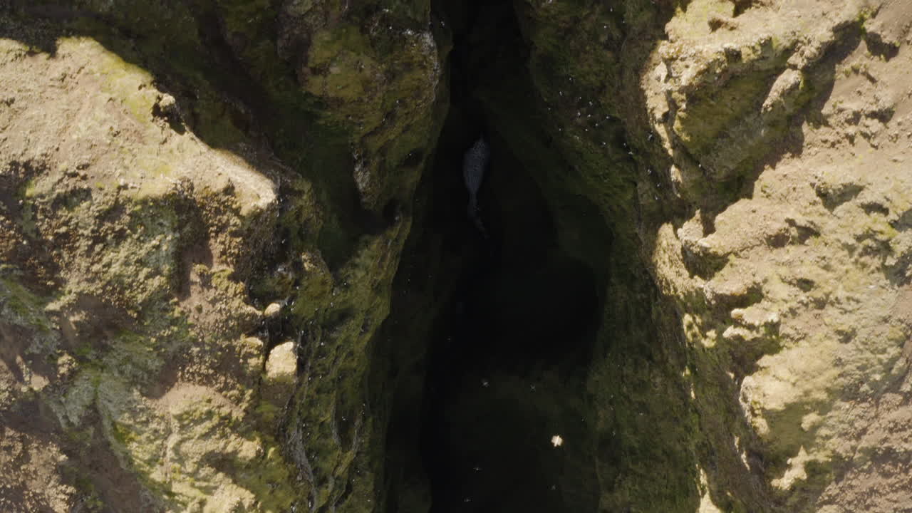 vuelo aéreo sobre las espectaculares formaciones rocosas de snaefellsnes islandia con aves marinas volando debajo