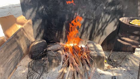 close-up video of outdoors campfire in camping