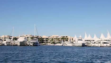 boats docked at a sunny marina