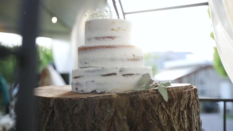 three-tier wedding cake set on a wooden log - selective focus