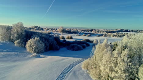 snow-blanket countryside nature landscape in winter season