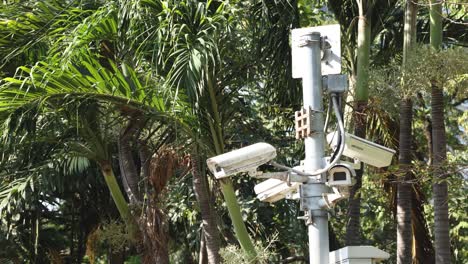 multiple security cameras monitoring a green area