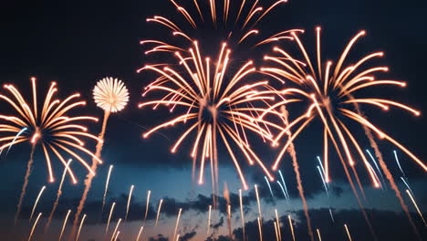 spectacular fireworks display in the night sky