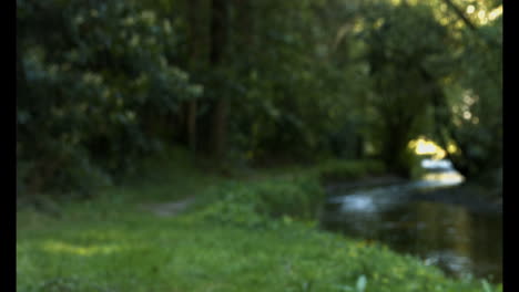 a stream beside the footpath