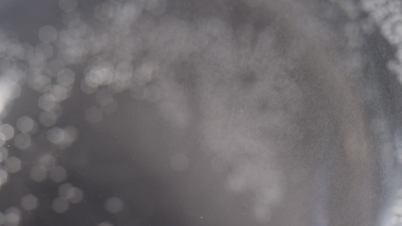 추상적인 회색과 색 액체 운동 배경 텍스처