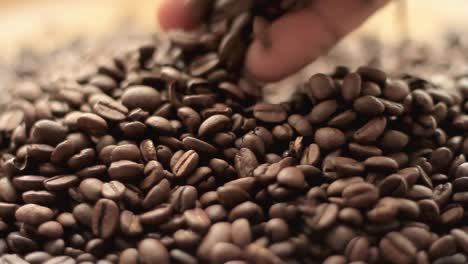 roasted-brown-coffee-beans-in-a-heap-stock-video