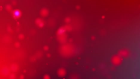rayos de luz roja de 4k, bokeh flotando en un colorido fondo de gradiente rojo oscuro en movimiento. animación en bucle 3d de partículas dinámicas girando en el aire con video bokeh