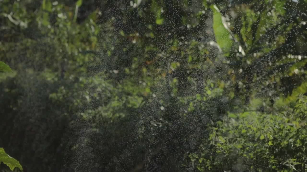 Irrigation sprinkler system waters a vegetable crop field