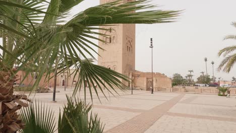 Establishing-view-of-Koutoubia-mosque-tower-from-behind-ornate-palm-trees-leaves-blowing-in-the-breeze