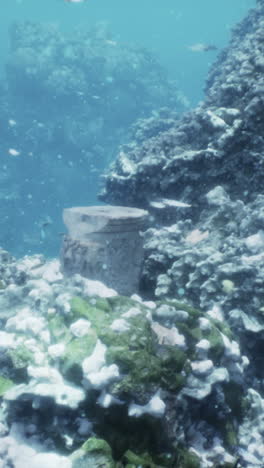 ancient underwater ruins in a coral reef