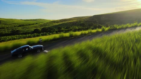 Mustang-Conduciendo-A-Través-Del-Campo-De-Caña-De-Azúcar-Al-Atardecer