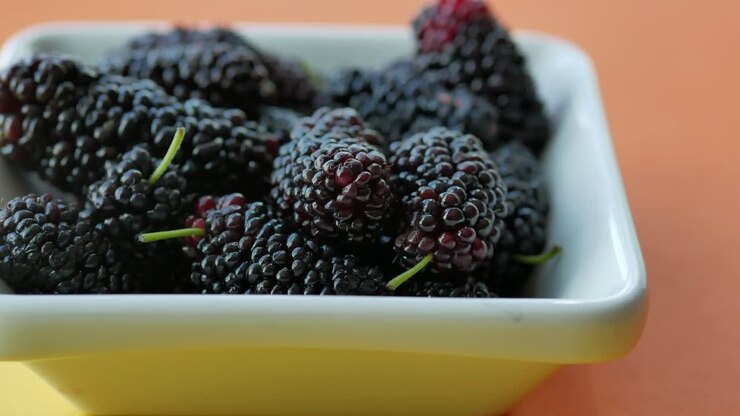 Fresh Mulberries in a Bowl