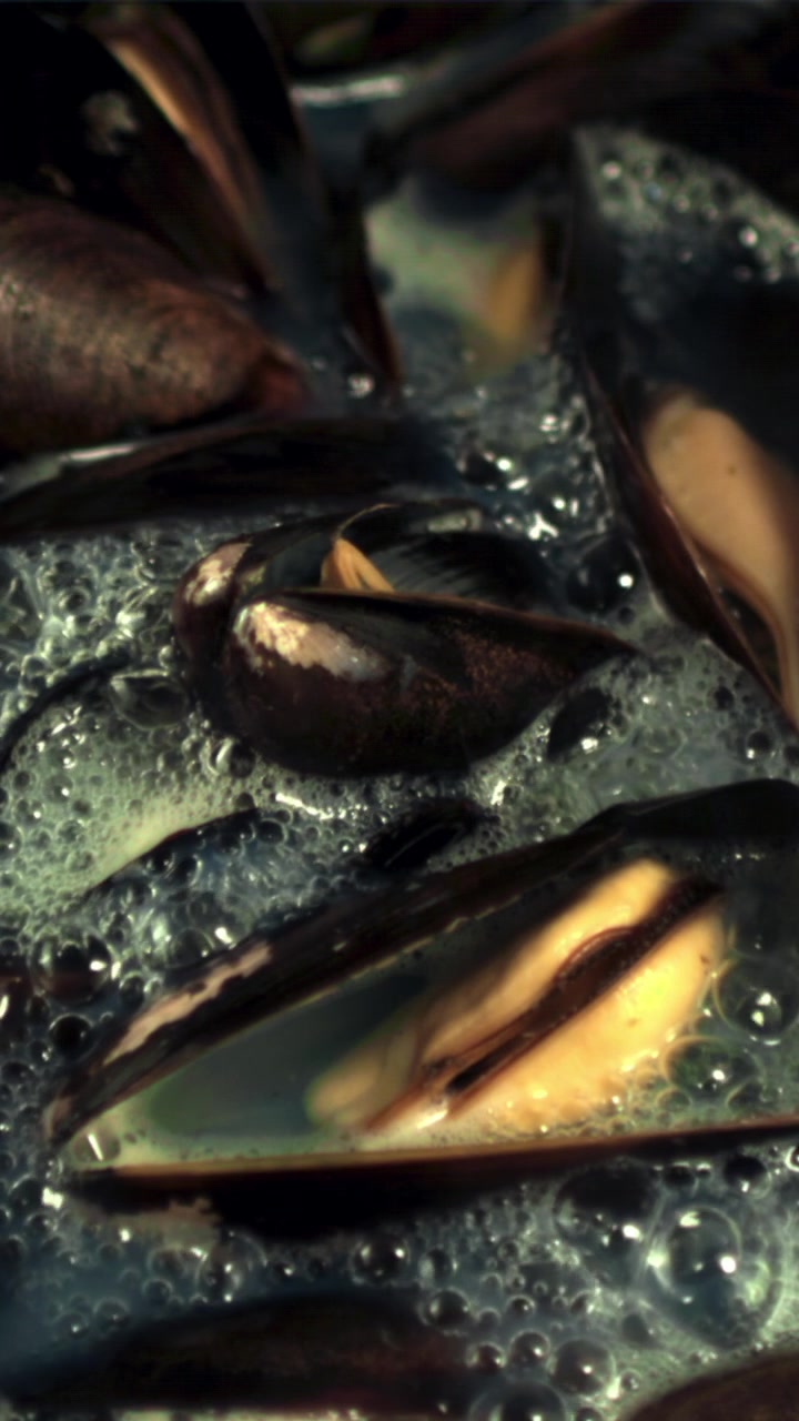 Close-up of Mussels Cooking in a Boiling Pot
