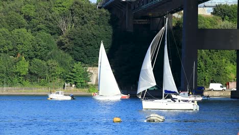 beautiful white sailboats sailing along the river tamar between devon and cornwall in england