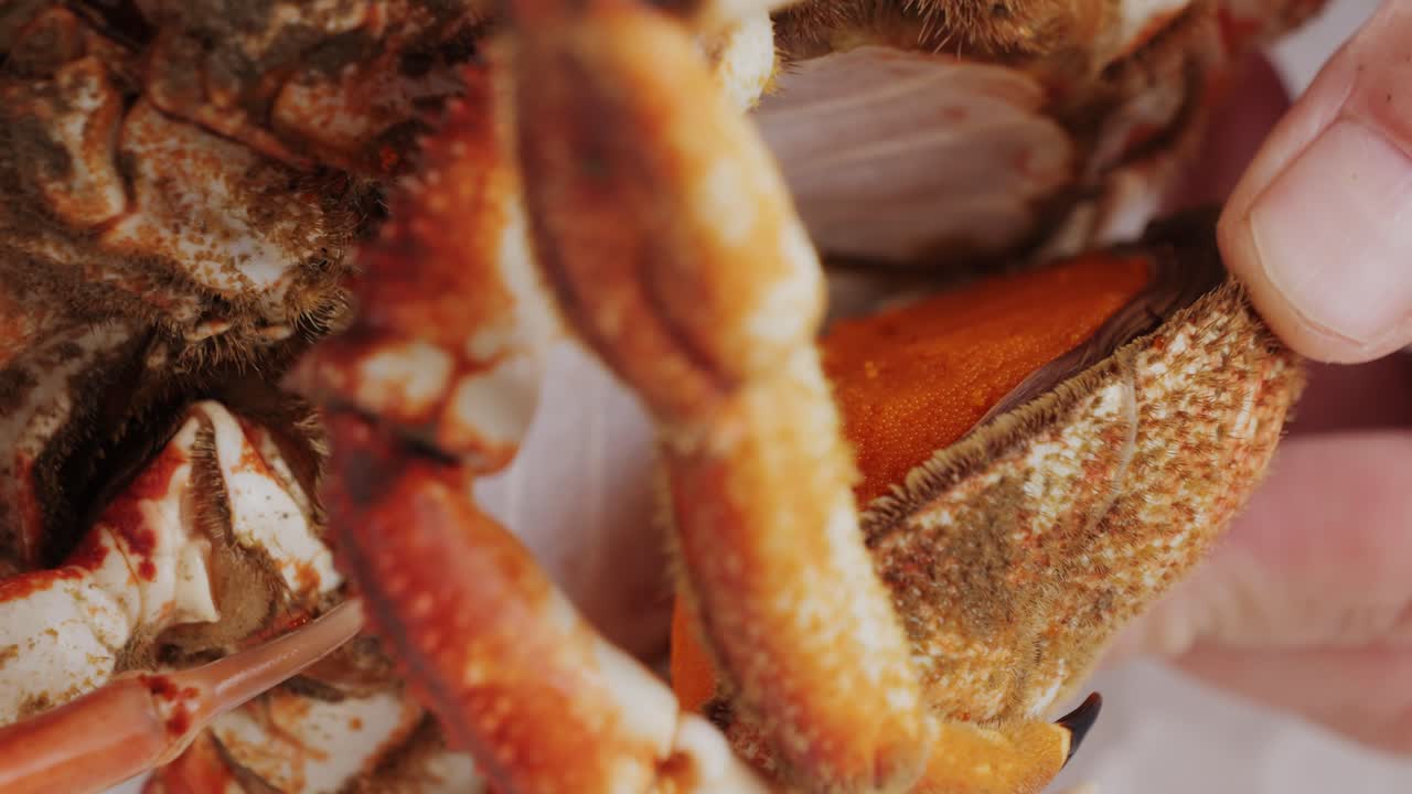 Close-up of a crab being handled