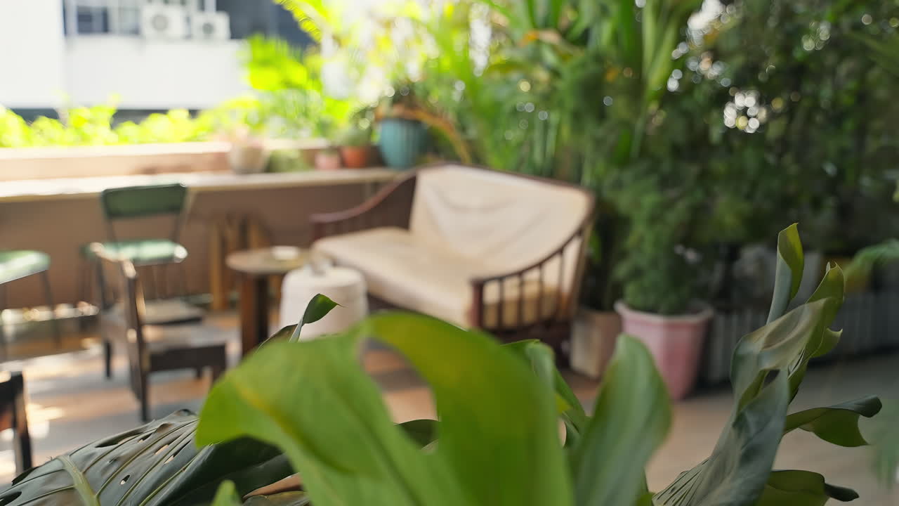 빛 에 싸인 외부 정원, 울창 한 식물 과 조용 한 분위기