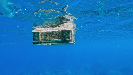 Mit-Moos-Bedeckte-Plastikkiste,-Die-Im-Ozean-Schwimmt