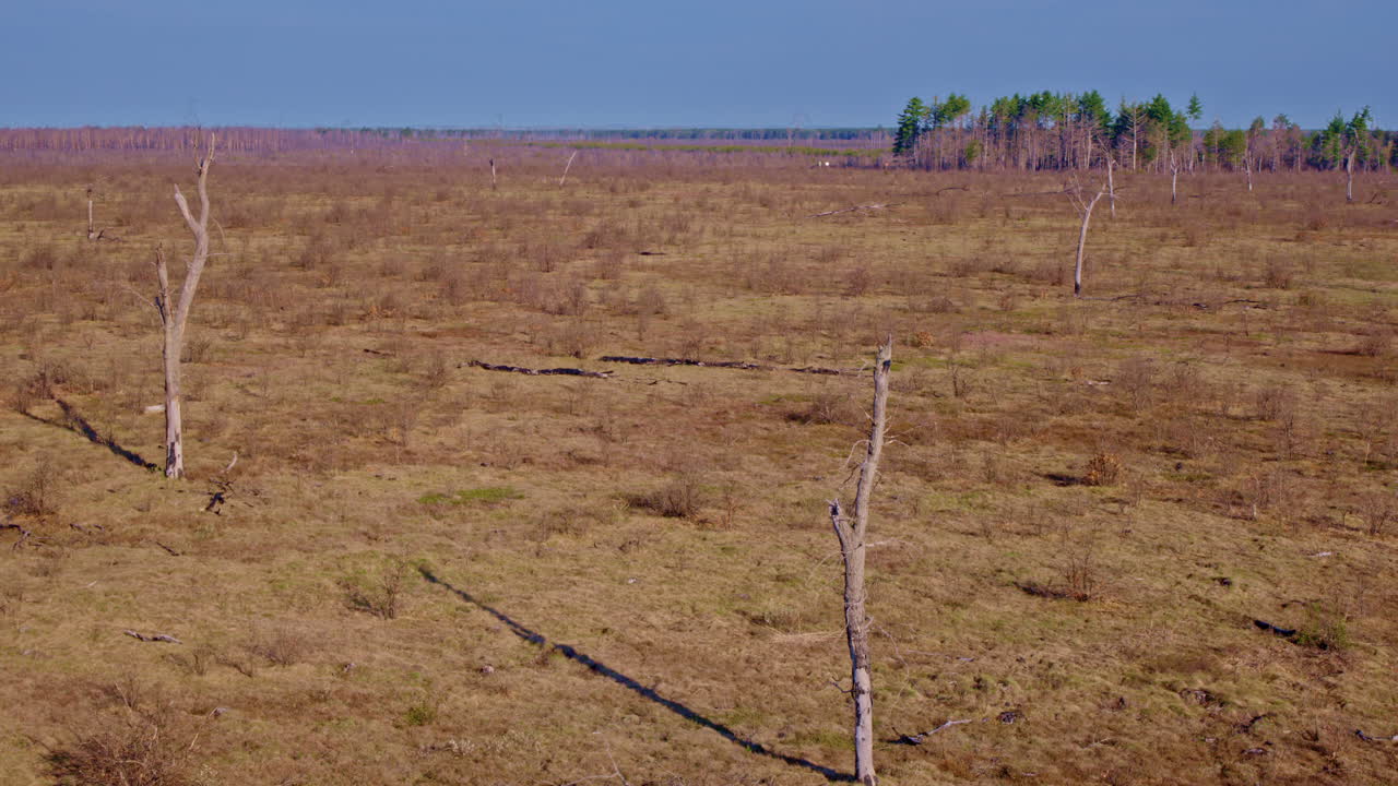 드론 뷰는 큰 불타는 지역 위에 불타는 숲을 보여줍니다.