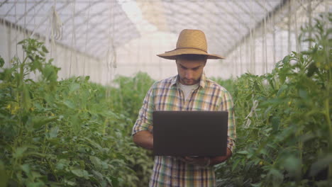 farmer using laptop in a greenhouse