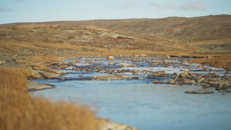 viajero en la distancia cerca de un río frío