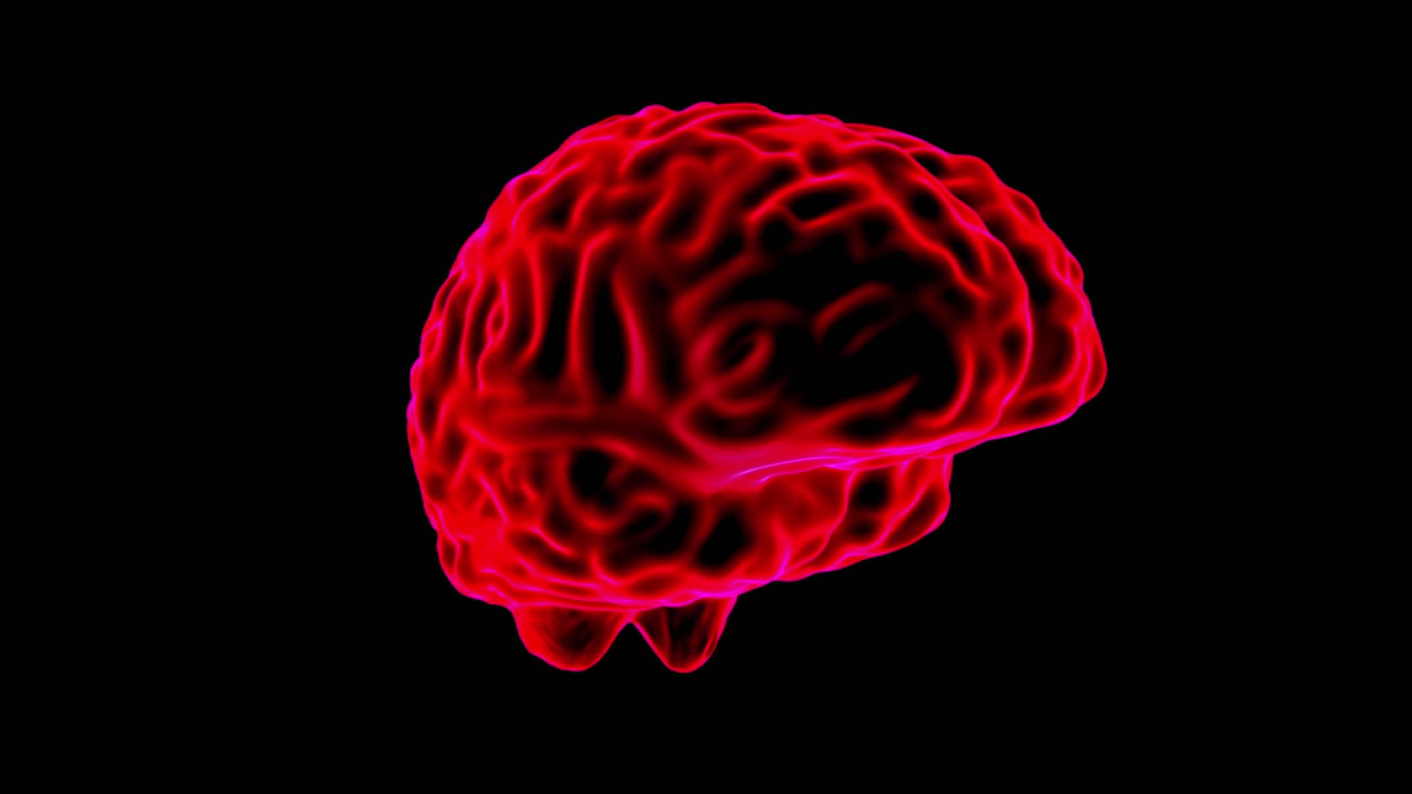 holograma cerebral de bucle giratorio 4k