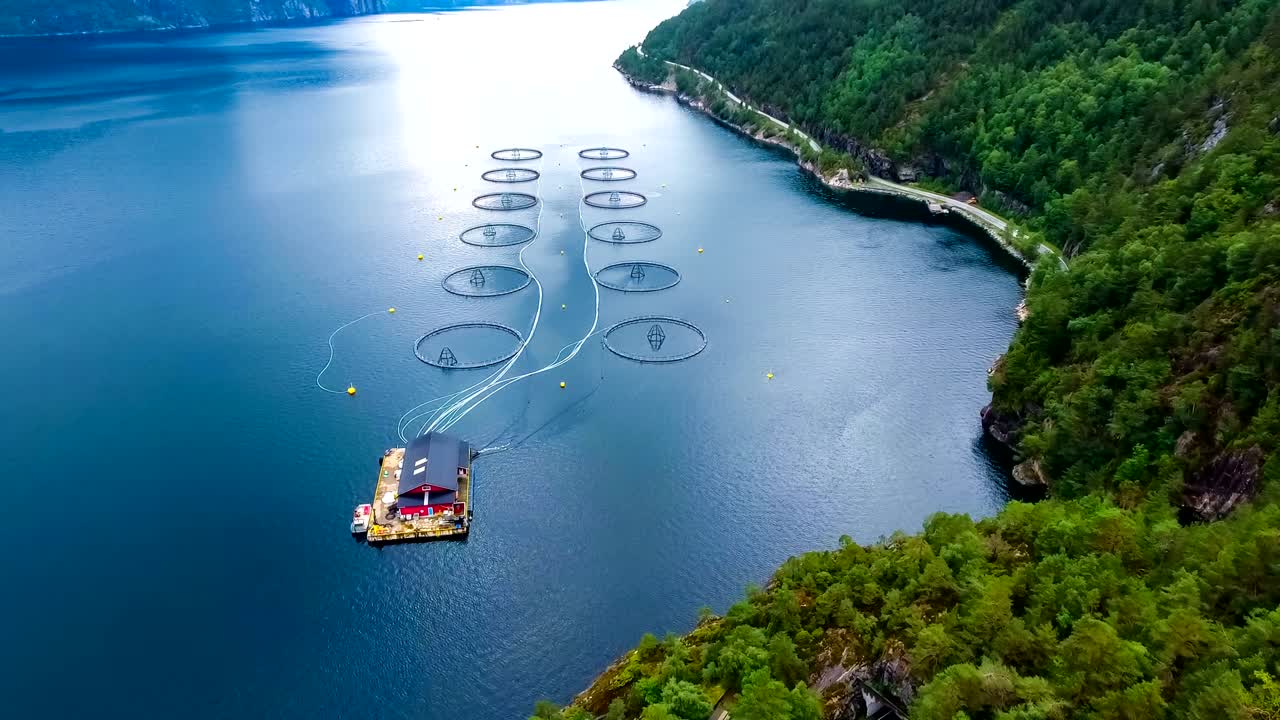 노르웨이에서 연어  ⁇ 시를 하는 공중 촬영