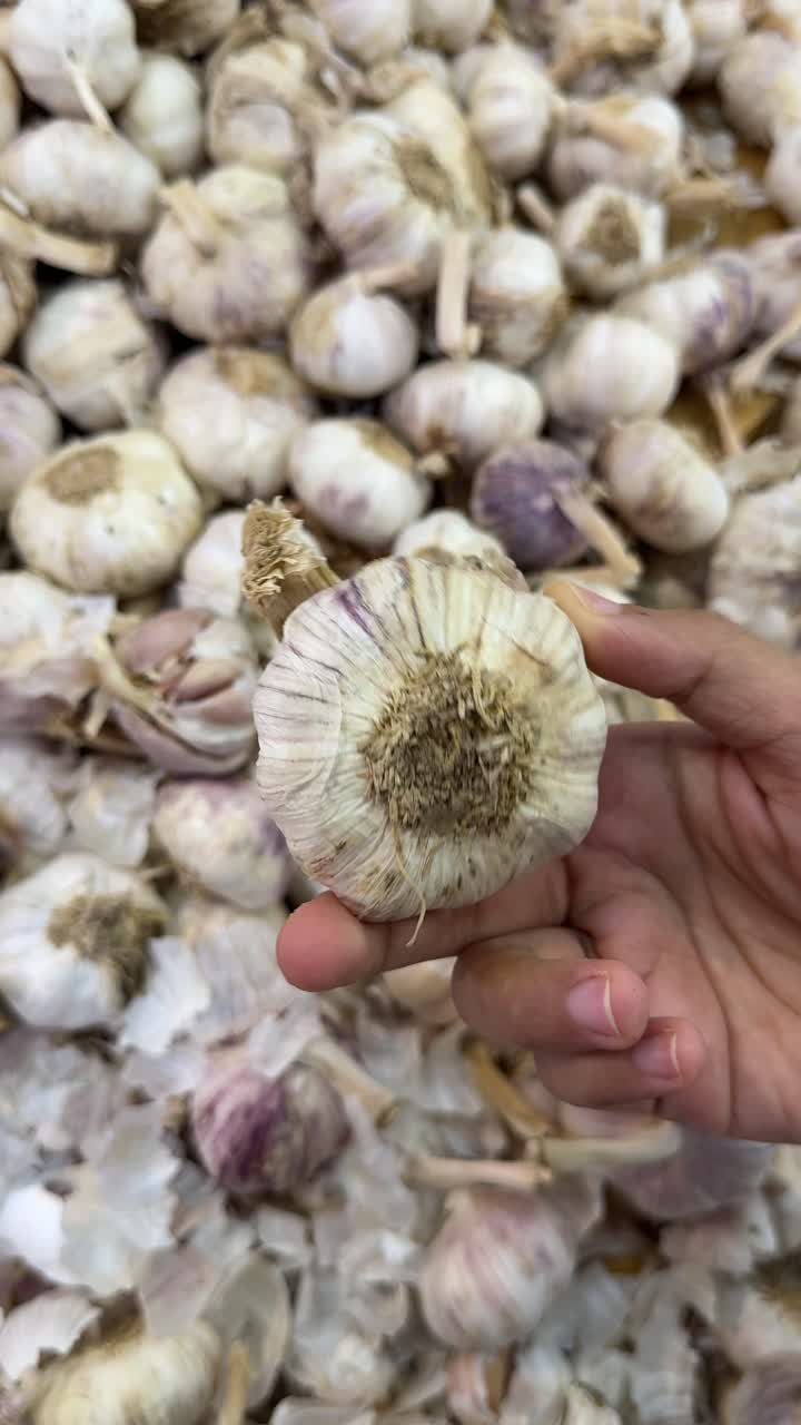 Mano che sceglie bulbi d'aglio freschi da una bancarella del mercato