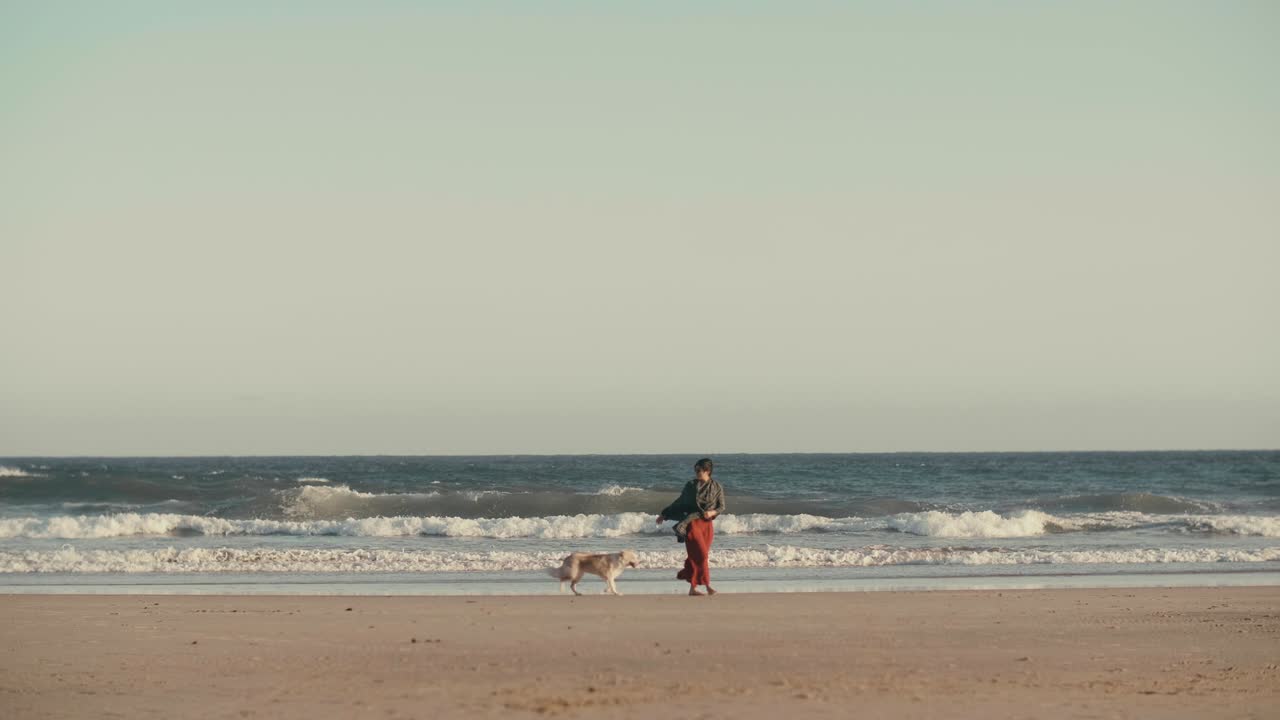 여자 는 개 와 함께 해변 을 고 있다