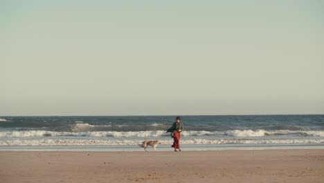 mujer caminando por la playa con su perro