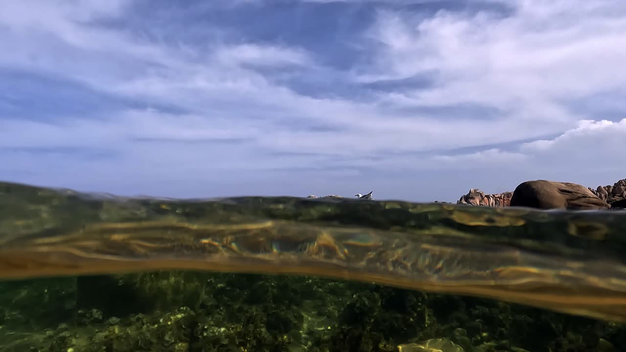 vista semisubmarina de la gaviota volando lejos de la superficie del mar a la roca de la isla lavezzi en córcega, francia