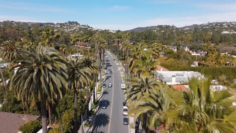 Disparo-De-Un-Dron-Atravesando-Una-Hilera-De-Palmeras-En-Beverly-Hill,-Los-Ángeles