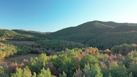 Flying-over-pyrenees-forest-in-early-winter-no-snow-yet