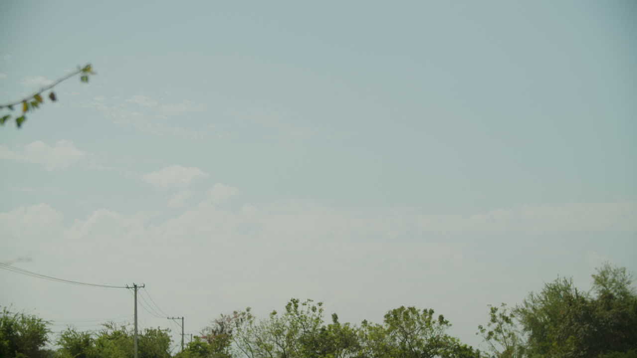 우유 소들은 울창한 초록 잔디에서 잔치를 즐기고, 바람은 도미니카 공화국의 시골에서 가축을 부드럽게 파동시니다.