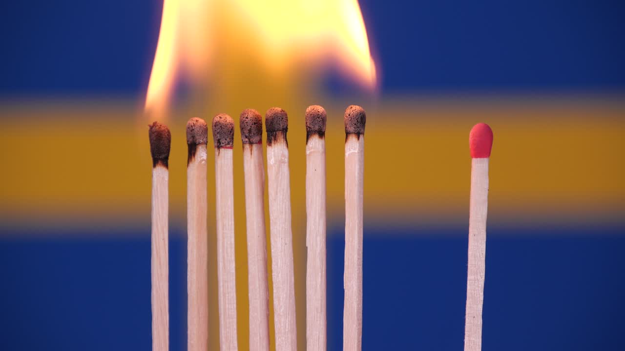 el brote de coronavirus, el distanciamiento social en suecia. concepto: propagación de la epidemia, efecto dominó, covid-19, fósforos quemados aislados, detener la propagación del virus, mantener la cuarentena, el bloqueo