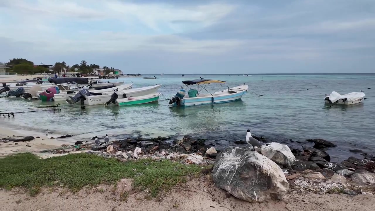 Panoramica lungo la costa di Los Roques con barche ancorate, uccelli marini e viste del villaggio costiero, panoramica iniziale verso sinistra.