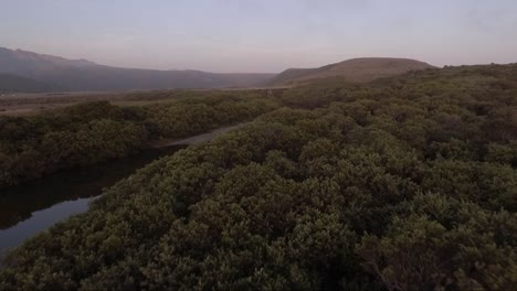 AERIAL---Green-shrubs-surround-a-calm-stream-at-sunset