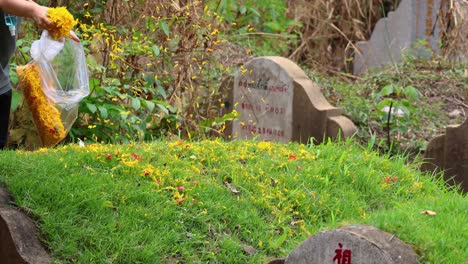 individual scattering flowers on a grave site