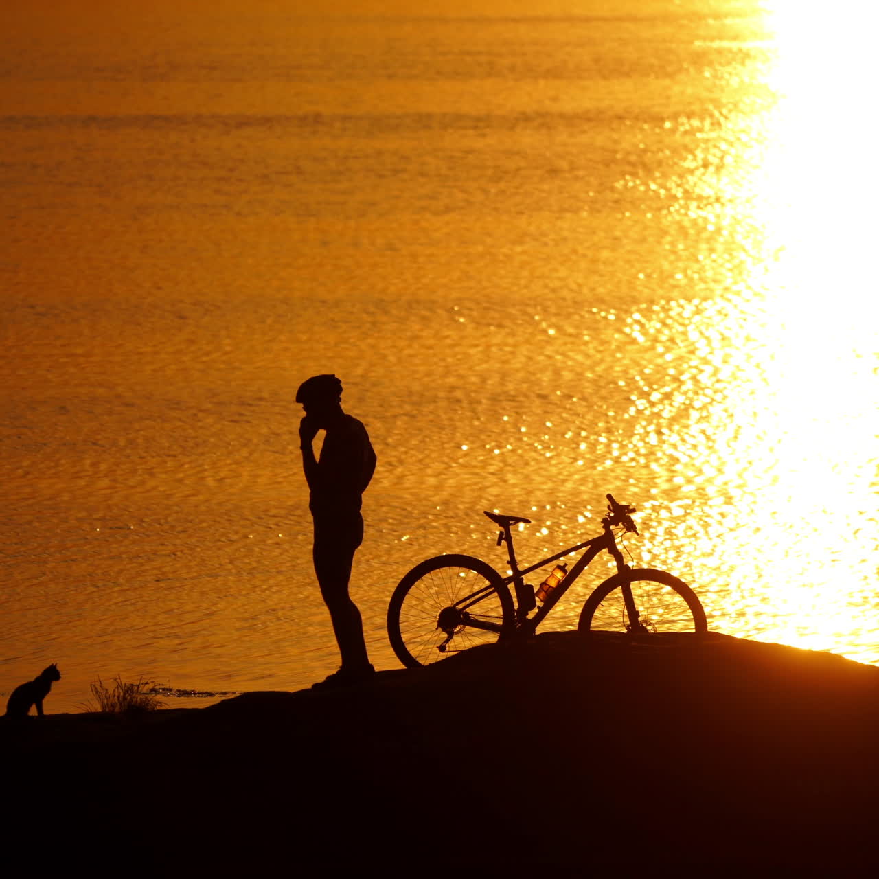 Silhouette of a cyclist and a cat near the river at sunset. Amazing golden path from the setting sun in the water and a man with his bike outdoors.