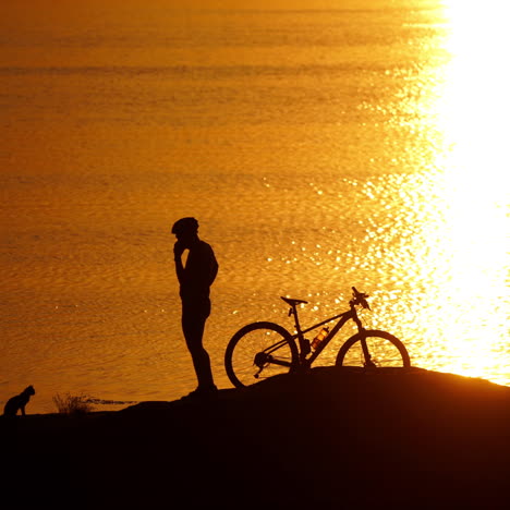 silhouette of a cyclist and a cat near the river at sunset. amazing golden path from the setting sun in the water and a man with his bike outdoors.