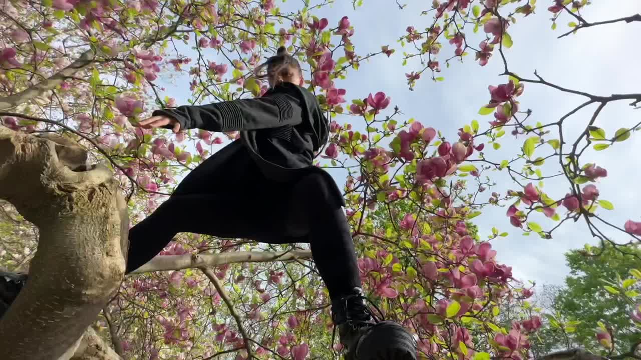 Person under a magnolia tree in bloom