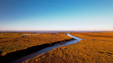 aerial view of completly natural landscape estuary at archacon bay, france