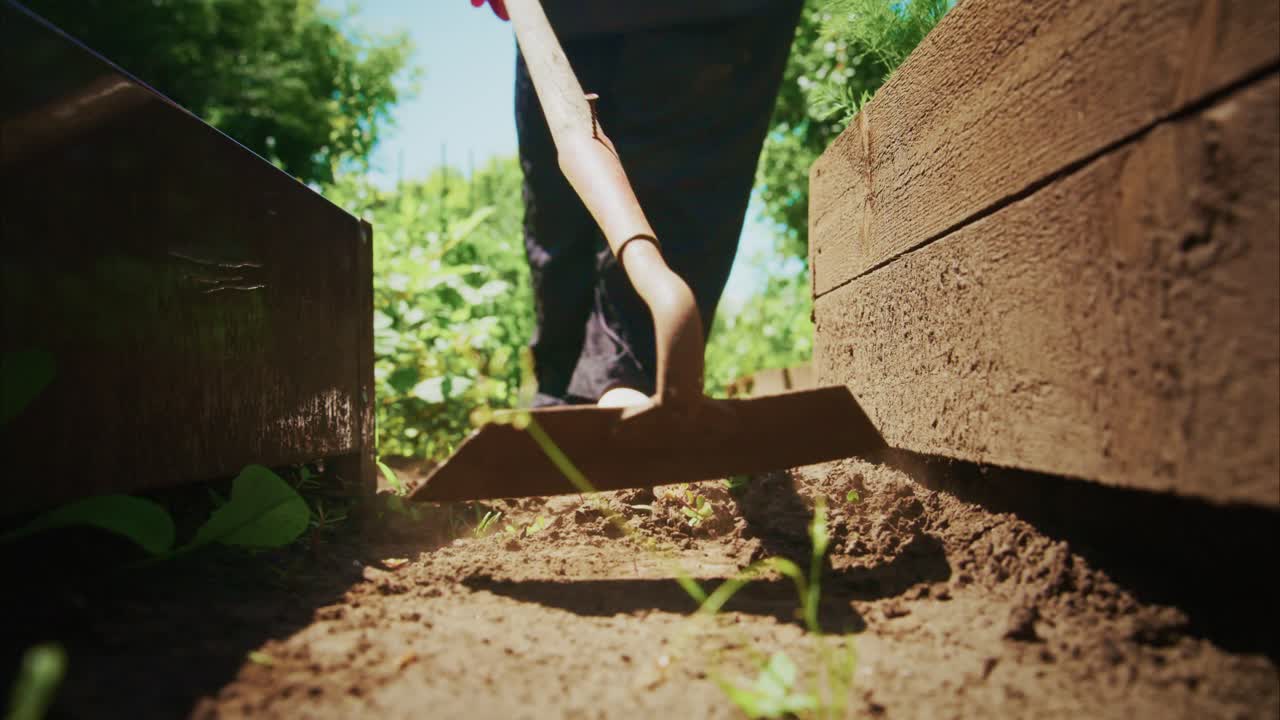Woman Gardening in Raised Beds