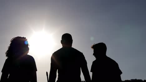 silhouettes of volunteers in park