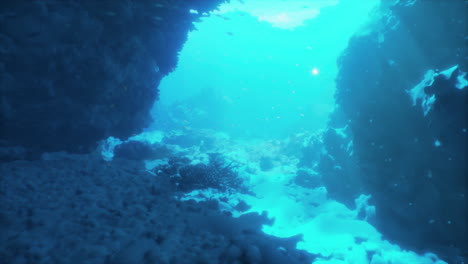 exploring a stunning underwater coral reef cave